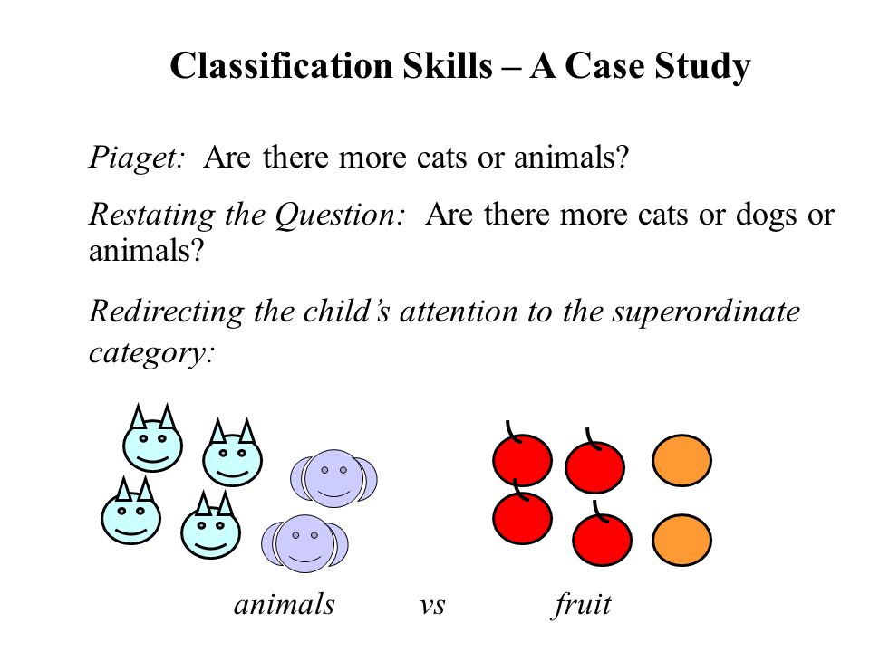 Evaluating Piaget s Theory ppt video online download